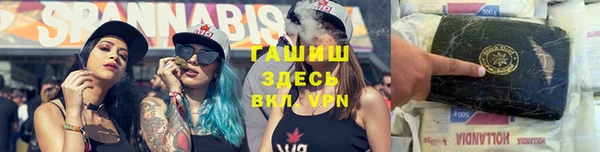 сатива Заволжье