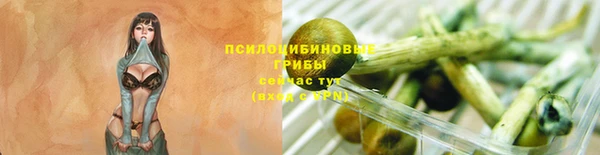 сатива Заволжье