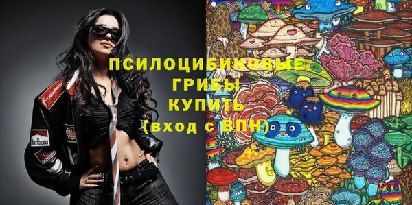 сатива Заволжье